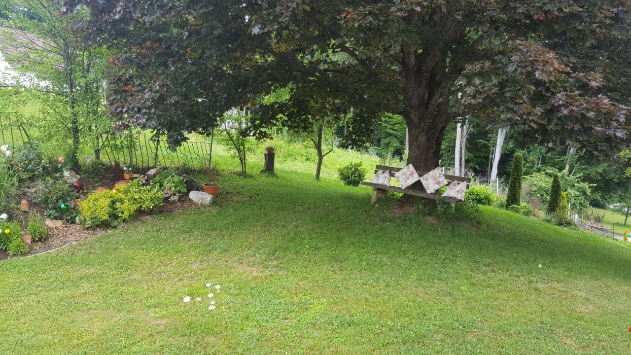 Homestay Gaestehaus Jeindl Hartmannsdorf